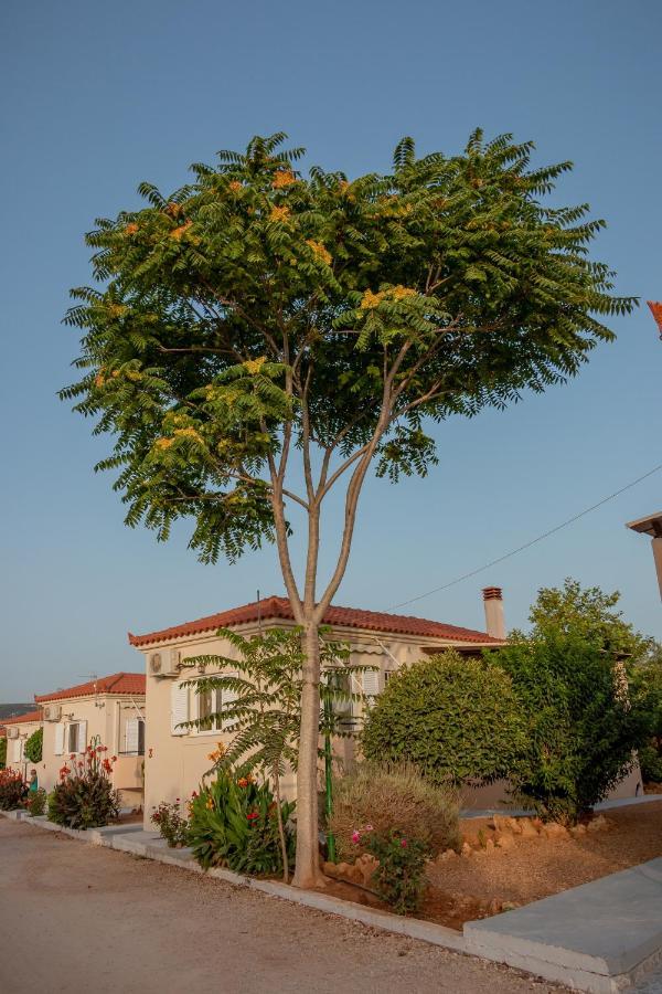 Lagouvardos Apartments Marathopoli Bagian luar foto